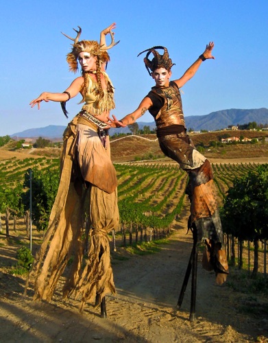 Tribal Vineyard